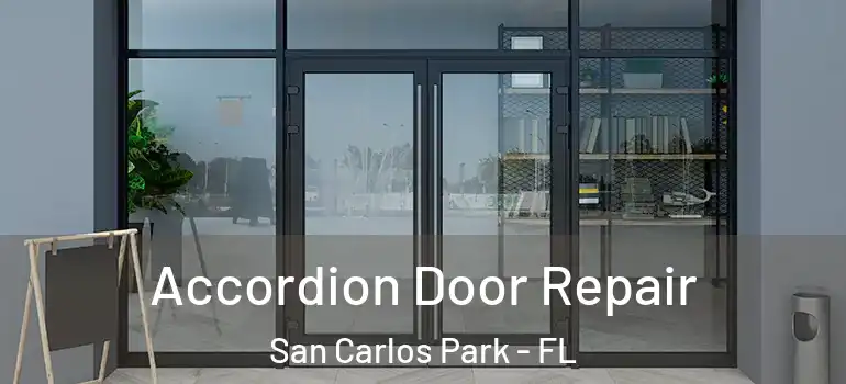  Accordion Door Repair San Carlos Park - FL