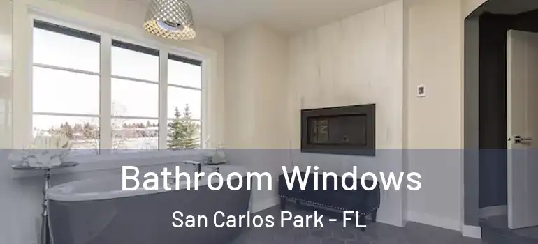  Bathroom Windows San Carlos Park - FL