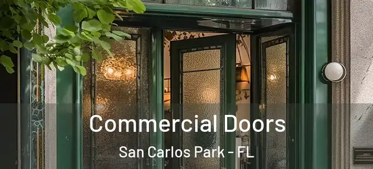  Commercial Doors San Carlos Park - FL