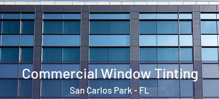  Commercial Window Tinting San Carlos Park - FL