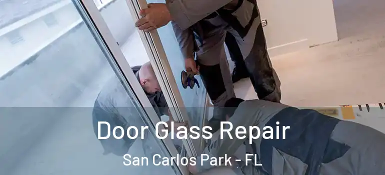  Door Glass Repair San Carlos Park - FL