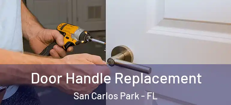  Door Handle Replacement San Carlos Park - FL