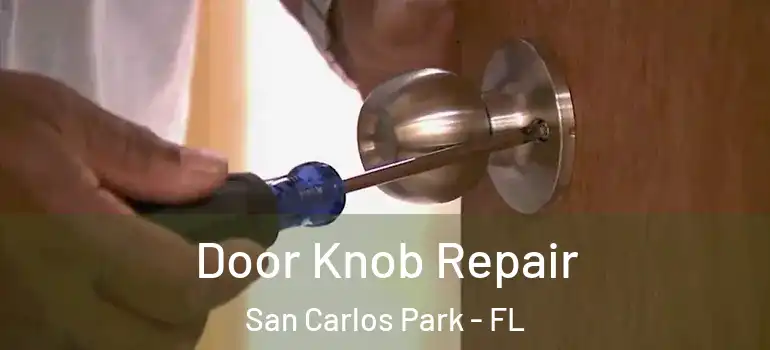  Door Knob Repair San Carlos Park - FL