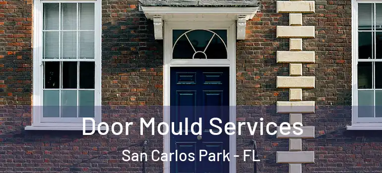  Door Mould Services San Carlos Park - FL