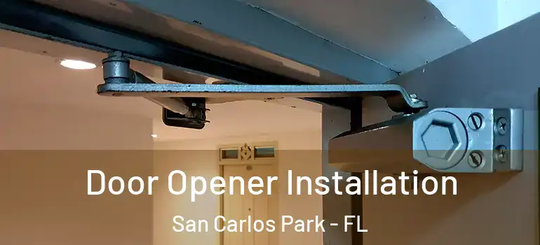  Door Opener Installation San Carlos Park - FL
