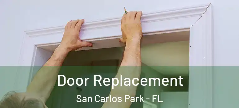  Door Replacement San Carlos Park - FL