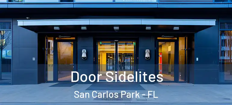  Door Sidelites San Carlos Park - FL