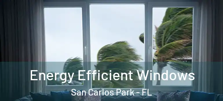  Energy Efficient Windows San Carlos Park - FL