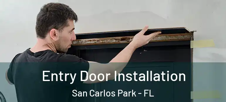  Entry Door Installation San Carlos Park - FL