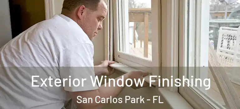  Exterior Window Finishing San Carlos Park - FL