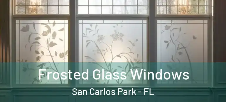  Frosted Glass Windows San Carlos Park - FL