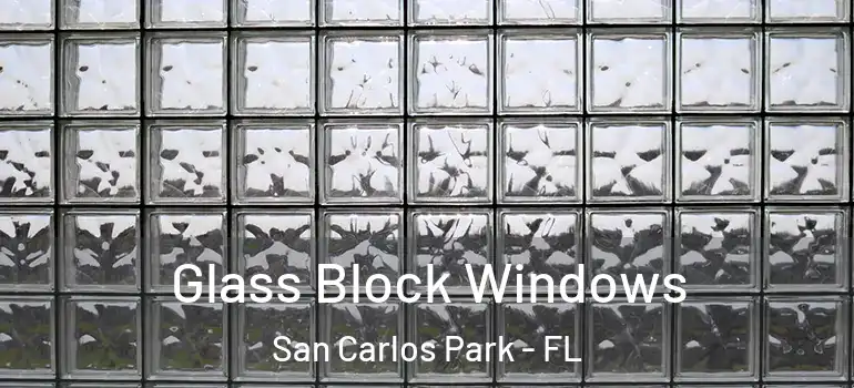  Glass Block Windows San Carlos Park - FL
