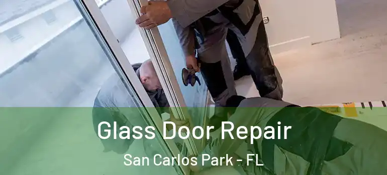  Glass Door Repair San Carlos Park - FL