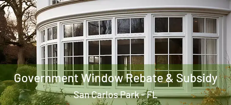  Government Window Rebate & Subsidy San Carlos Park - FL