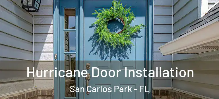  Hurricane Door Installation San Carlos Park - FL