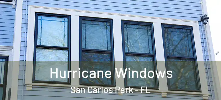  Hurricane Windows San Carlos Park - FL