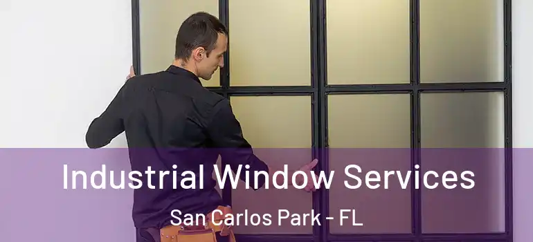 Industrial Window Services San Carlos Park - FL