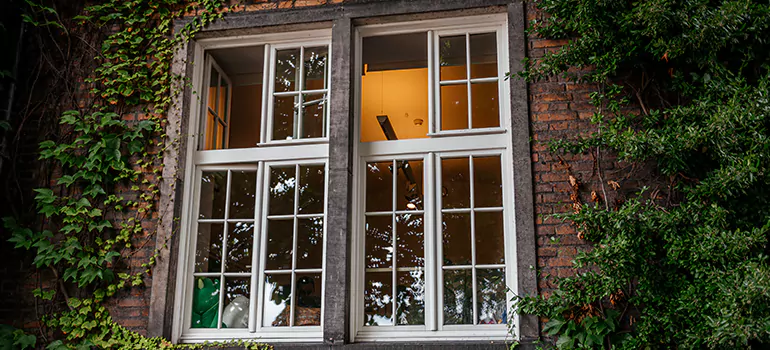 Energy Efficient Wood Windows in San Carlos Park, FL
