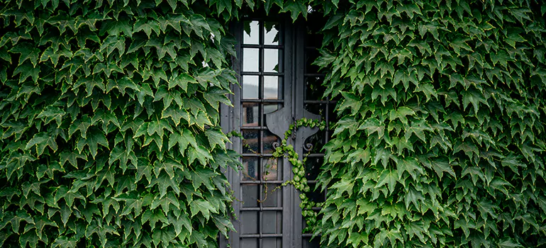 Garden Gate Repair in San Carlos Park, FL