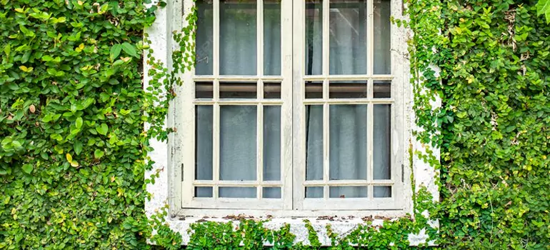 Garden Window Repair Near Me in San Carlos Park, FL