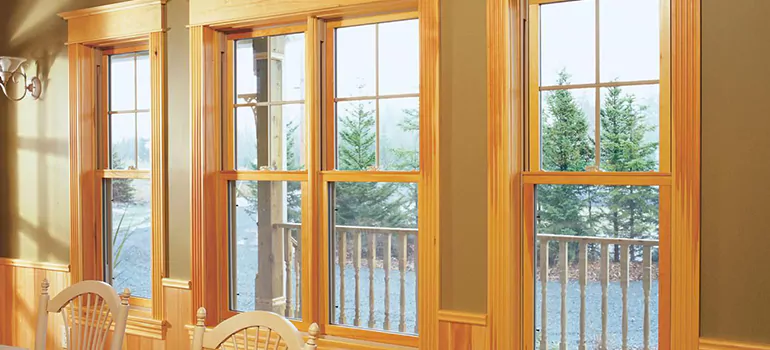 Government Incentives For Replacement Windows in San Carlos Park, FL