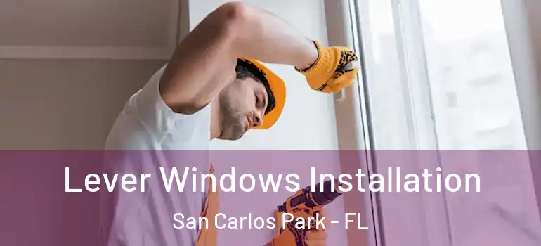  Lever Windows Installation San Carlos Park - FL