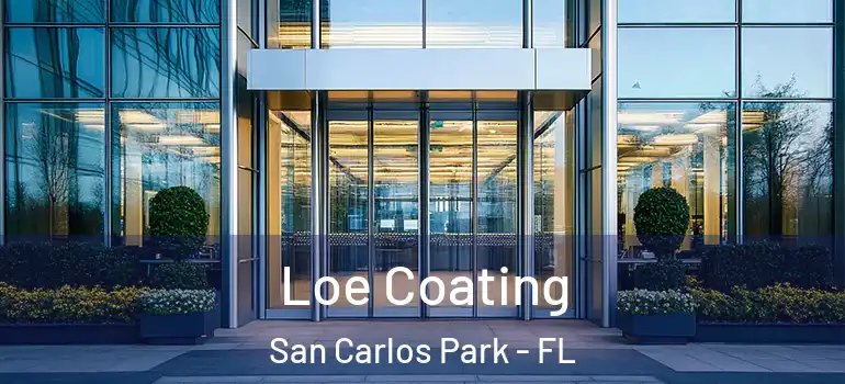  Loe Coating San Carlos Park - FL