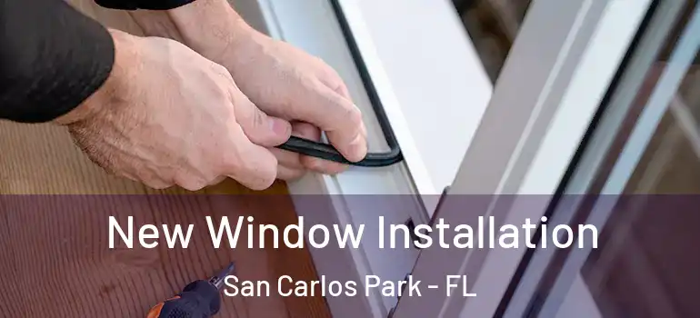  New Window Installation San Carlos Park - FL