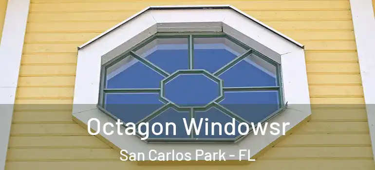  Octagon Windowsr San Carlos Park - FL