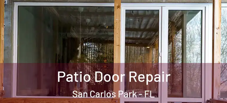  Patio Door Repair San Carlos Park - FL