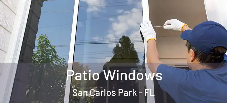  Patio Windows San Carlos Park - FL