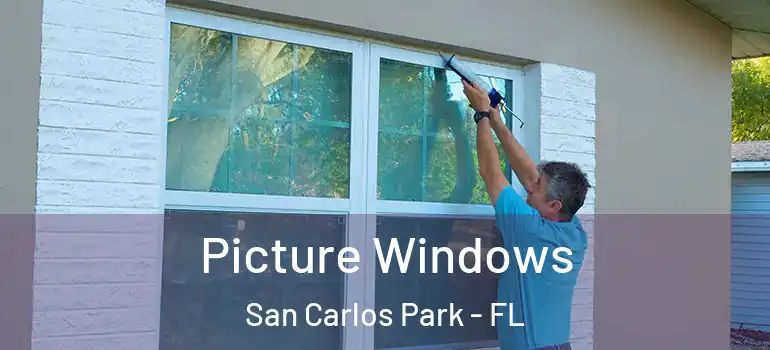  Picture Windows San Carlos Park - FL