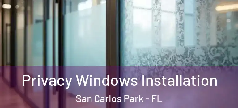  Privacy Windows Installation San Carlos Park - FL