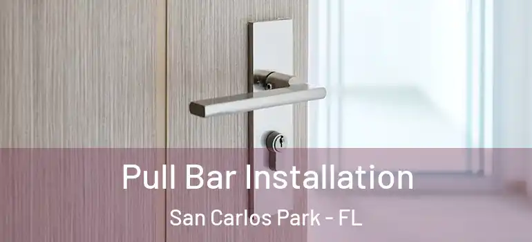  Pull Bar Installation San Carlos Park - FL