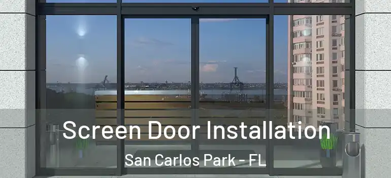  Screen Door Installation San Carlos Park - FL