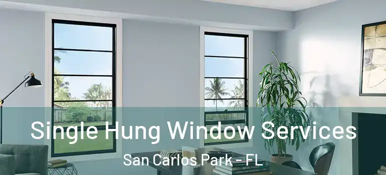  Single Hung Window Services San Carlos Park - FL