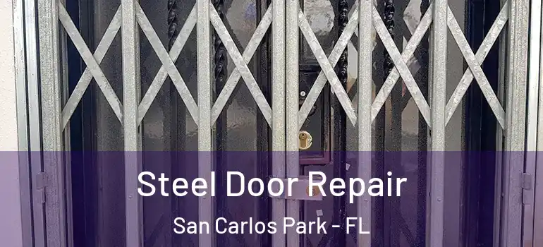  Steel Door Repair San Carlos Park - FL