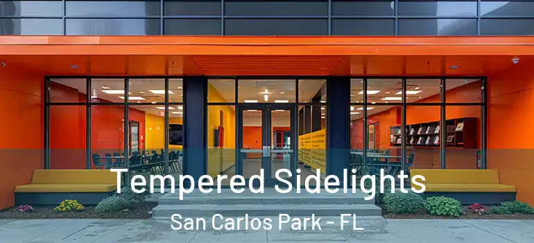  Tempered Sidelights San Carlos Park - FL