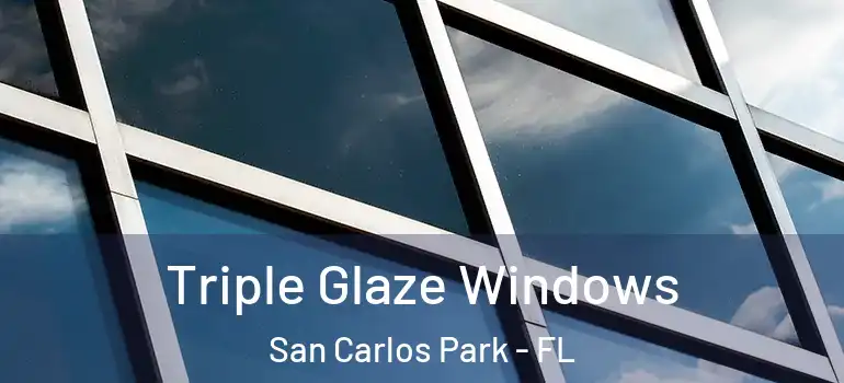  Triple Glaze Windows San Carlos Park - FL