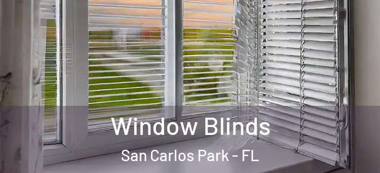  Window Blinds San Carlos Park - FL