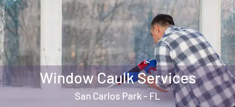  Window Caulk Services San Carlos Park - FL