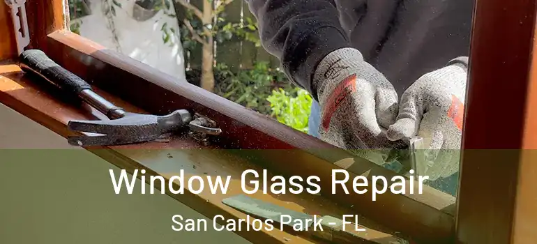 Window Glass Repair San Carlos Park - FL
