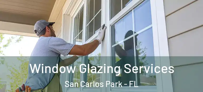 Window Glazing Services San Carlos Park - FL