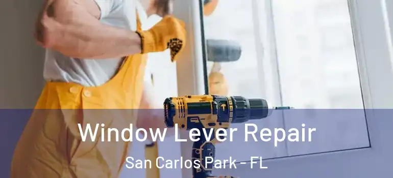  Window Lever Repair San Carlos Park - FL