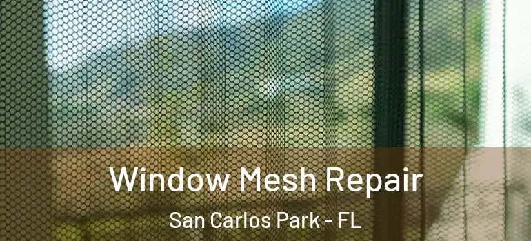  Window Mesh Repair San Carlos Park - FL