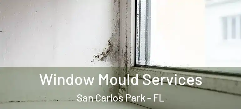  Window Mould Services San Carlos Park - FL