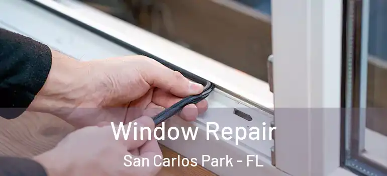  Window Repair San Carlos Park - FL