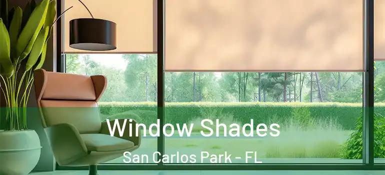  Window Shades San Carlos Park - FL