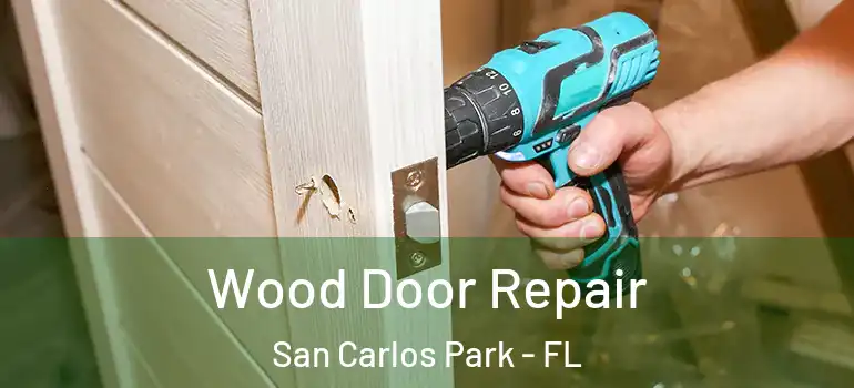  Wood Door Repair San Carlos Park - FL